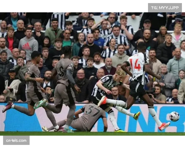 英联杯上半场：巴恩斯中柱，舍尔助纽卡1-0小胜热刺